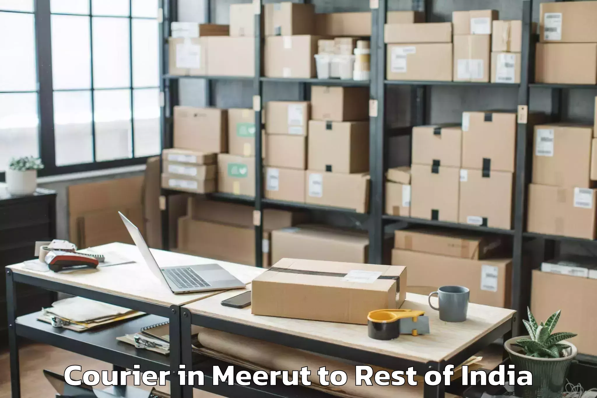 Easy Meerut to Bajor Courier Booking